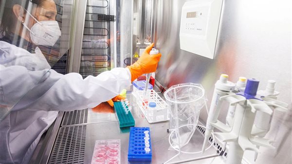 جدري القرود