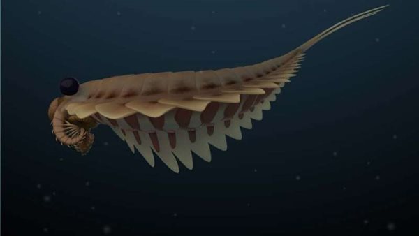 ستانلي كاريس