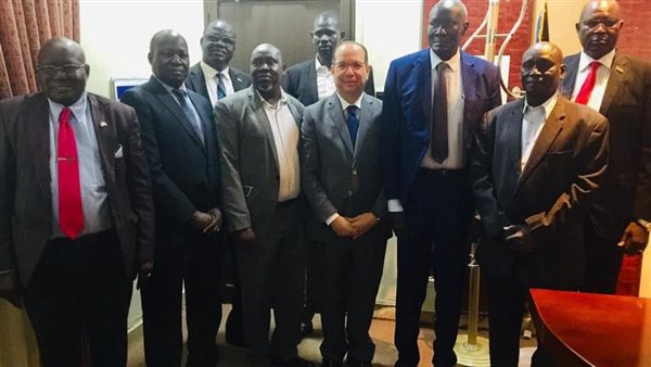 سفير مصر في جوبا