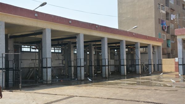 مجازر القليوبية -