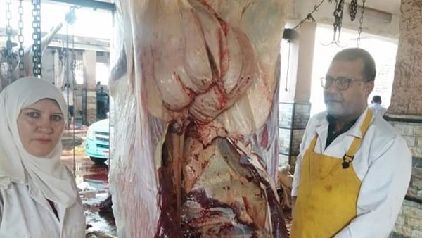 مجزر الباجور 