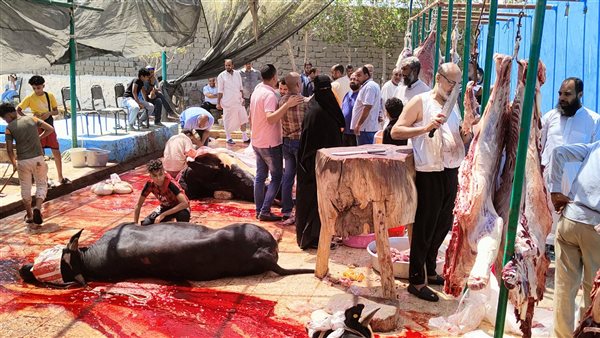 مجازر الغردقة خلال