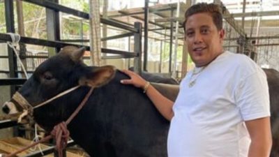 دي عادة ربنا ما يقطعها.. حمو بيكا يضحي بـ 13 عجلًا في العيد رغم ظروفه المادية | فيديوجراف