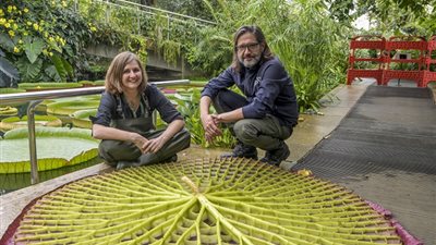 أحد عجائب العالم.. علماء يعثرون على نوع نادر من النبات 