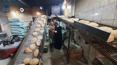 ضبط 59 مخالفة في حملة تموينية بالدقهلية