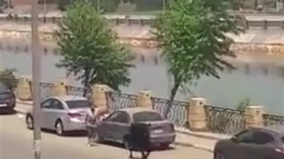 عجل يهرب من الجزار بكورنيش بنها ويصطدم بالمارة | فيديو 