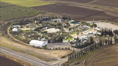 بعد الكشف عن مقبرة جماعية.. هل تستعيد مصر رُفات شهدائها في حرب 67؟ | خاص