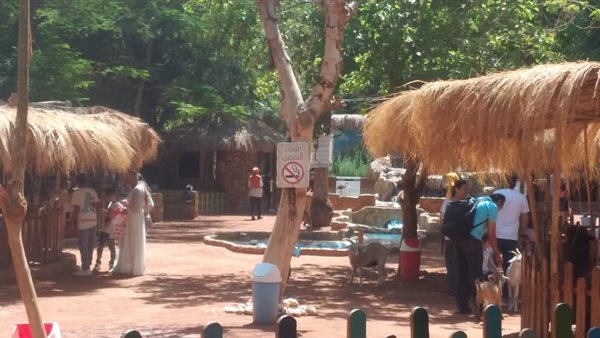 حديقة الحيوان 