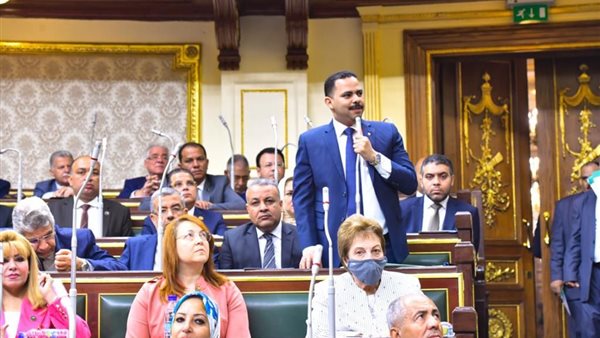 مجلس النواب 