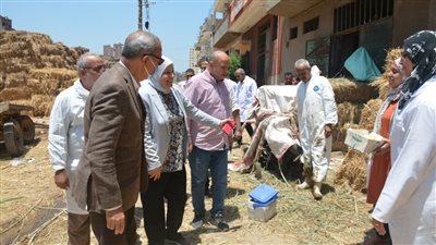 تحصين 323 رأس أبقار وجاموس وأغنام وماعز ضد الحمى القلاعية والوادي المتصدع ببنها