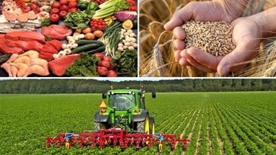 إسقاط ديون الفلاحين أبرزها.. معلومات الوزراء يستعرض 4 مقترحات بشأن الأمن الغذائي 