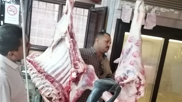 حملات تفتيشية على