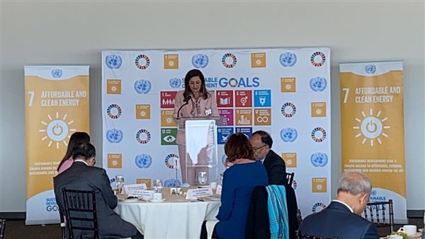 وزيرة التخطيط والتنمية