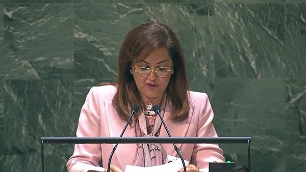 وزيرة التخطيط 