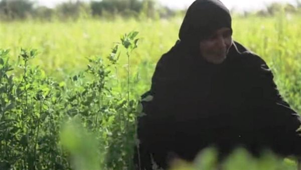 سيدة أسوانية 