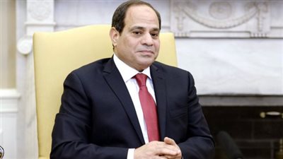 السيسي: يجب إعادة صياغة القوانين التي تحافظ على الأمن المائي للدول