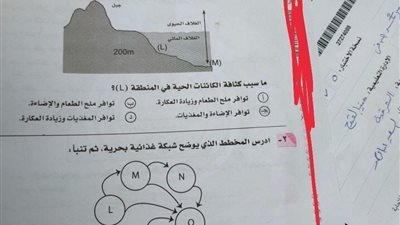 ربنا رفع ستره عنها.. تعليقات ساخرة على واقعة الطالبة مصورة اسمها بورقة امتحان الجيولوجيا بالثانوية العامة | صور