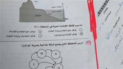 التعليم تحقق في واقعة الطالبة أروى مُصورة امتحان الجيولوجيا بالثانوية العامة