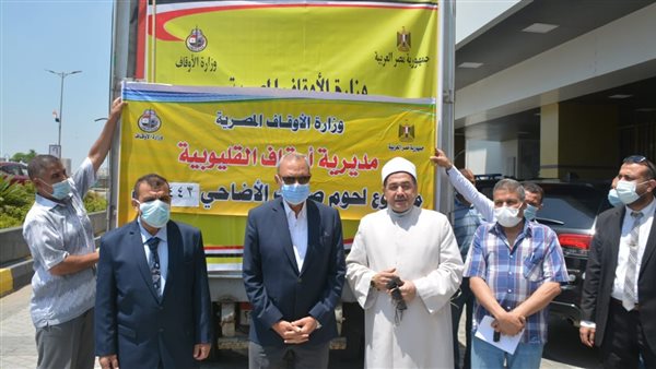 محافظ القليوبية