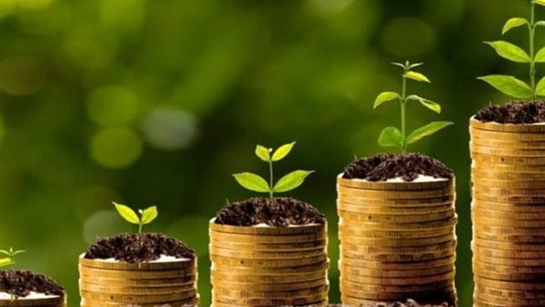 الاستثمار والحماية