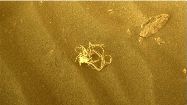 الصورة التي التقطتها