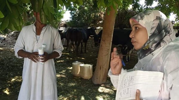 جانب من الحملة 