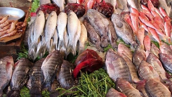 أسعار الأسماك في مصر اليوم السبت 15 أبريل 2023