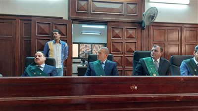 اختلفا على قيمة التأمين.. السجن المؤبد لمالك عقار قتل مستأجر شقة بالمحلة