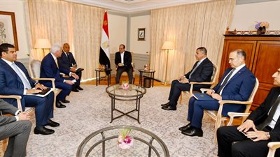السيسي: مصر تولي أهمية كبيرة للتعاون مع لورسن الألمانية في مجال الصناعات البحرية