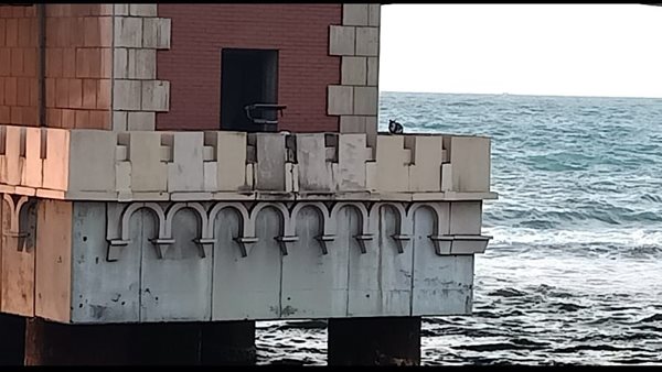 كوبري استانلي