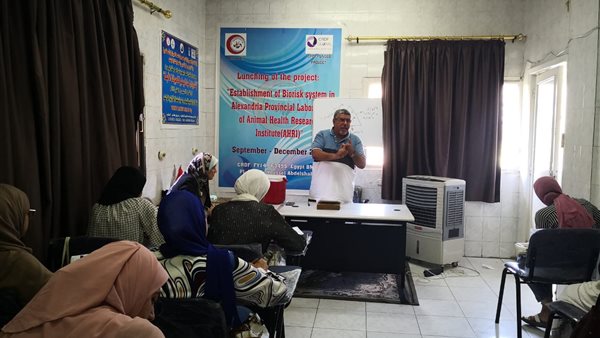 معهد بحوث الصحة الحيوانية