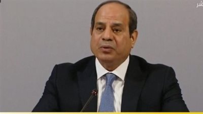 السيسي يدعو لدعم جهود الدول النامية نحو التحول لاستخدام الطاقة النظيفة