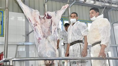 محافظ الغربية: غلق مجزر طنطا ونقل الذبح إلى آخر في شبشير الحصة