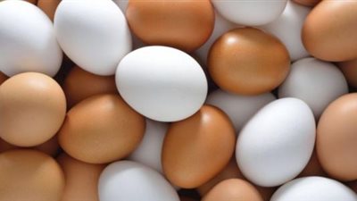 إنفلونزا الطيور تهدد إنتاج البيض عالميًا.. والأسعار تشتعل في مصر 