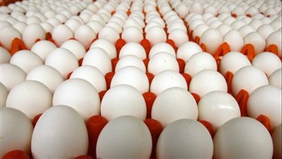 سعر كرتونة بيض المائدة يصل لـ 80 جنيها.. وتاجر يكشف سبب ارتفاع الأسعار | بث مباشر 