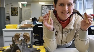 عاش قبل 500 ألف عام..الكشف عن هوية الطائر المتحجر في أستراليا|دراسة 