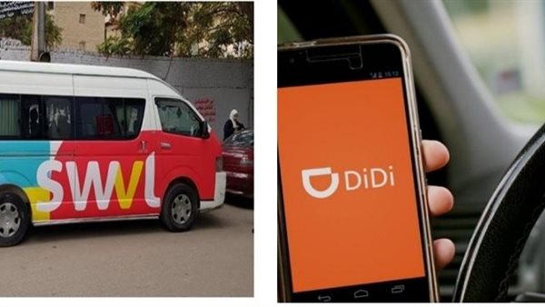 ديدي وسويفل