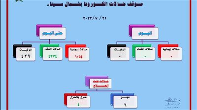 صحة شمال سيناء: تسجيل 10 إصابات جديدة بفيروس كورونا