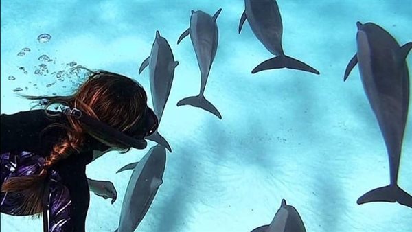 المقصد السياحي المصري