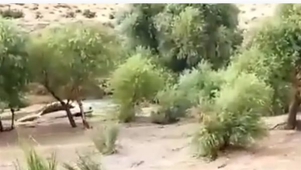 قتلى ومفقودون في