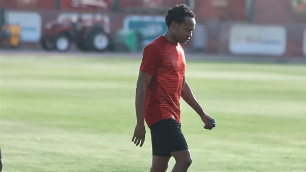 الجنوب إفريقي بيرسي