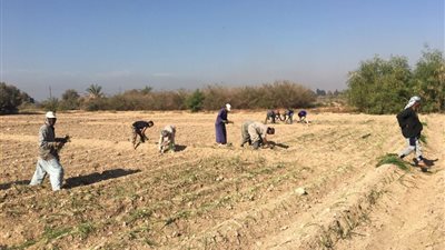 طرح مساحات للبيع بالمزايدة العلنية بمحافظات الإسكندرية وسوهاج والشرقية والفيوم