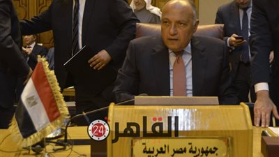 ناقشا أزمة سوريا وليبيا.. وزير الخارجية سامح شكري يُجري اتصالا هاتفيا مع نظيره الإماراتي