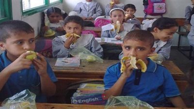 “الوزراء” يوافق على تخصيص 238 مليون جنيه لتوفير وجبات مدرسية إضافية