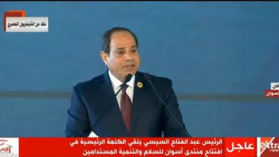 السيسي: لدينا احتياطى كهرباء يعوق تصديره لدول إفريقيا عدم وجود شبكات ربط