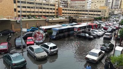 رسالة ساخرة من الطلبة.. شجرة تدمر سيارة دكتور أمام “إعلام القاهرة” بسبب الطقس السيئ (صورة)