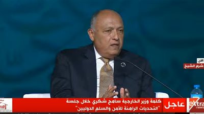 منتدى شباب العالم.. وزير الخارجية: 2011 تسببت في زعزعة الأمن والسلم الإقليمي والدولي