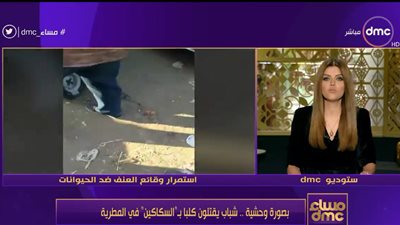 إيمان الحصري لقاتلي كلب المطرية: أنتم إرهابيين وخطر على الأمن القومي .. فيديو