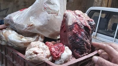 إعدام وضبط 8 طن مواد غذائية مخالفة للمواصفات في القليوبية (صور)