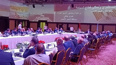 “العناني” يستمع لمقترحات مستثمري القطاع السياحي بالبحر الأحمر